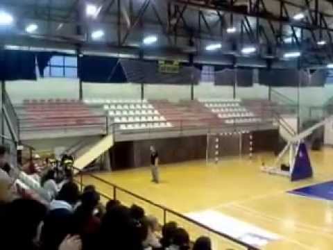 Junior nou basket paterna