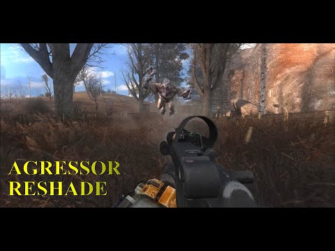 "Dangerous Road to Travel" - STALKER Anomaly + Agressor ReShade + HD Textures + Weapon Overhaul