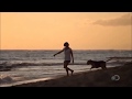 Talk Talk Living In Another World Full HD An Other World Video