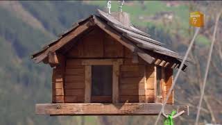 Jonny Hill Nicht jeder weint mit Tränen