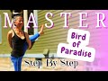 The Ultimate Birds Of Paradise Pose Tutorial Step By Step Breakdown