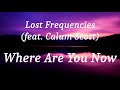 Lost Frequencies (feat. Calum Scott) - Where Are You Now (lyrics)
