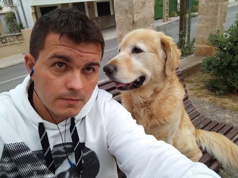 Cámara ZTE Nubia Z9 mini