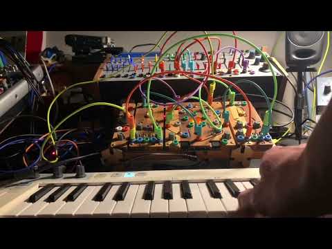 208c and Cocoquantus exploration no. 1