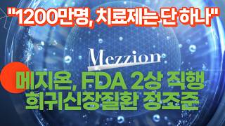 “환자 1200만명, 치료제는 단 하나”…메지온, FDA 2상 직행 속 희귀신장질환 정조준