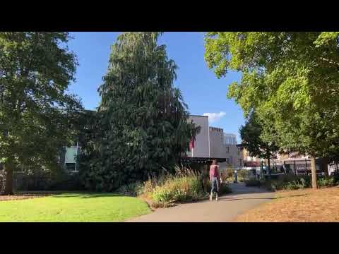 ケンブリッジクレーンズビル 植物