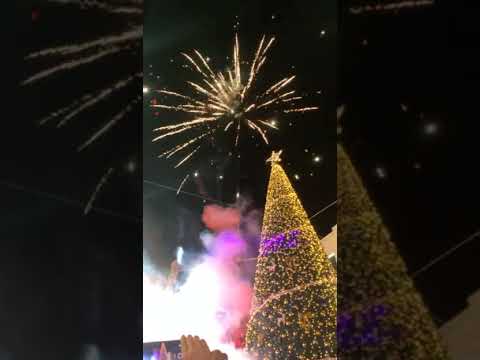 إضاءة الشجرة في مدينة بيت ساحور مدينة الرعاة