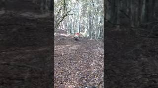 Driven Hunt with Copterpro - Drückjagd im Sauenhang🐗 #copterpro #drivenhunt #drückjagd2025