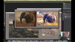 Aaron's Art Tips 11 - Don't be a slave to your photo reference!