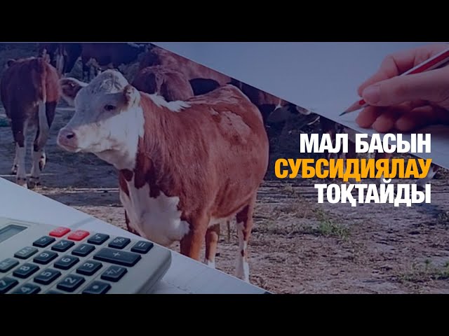 Мал басын субсидиялау тоқтайды