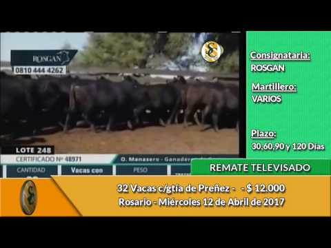 12-04-17 - Venta de Vientres - Remate Televisado de ROSGAN - Rosario