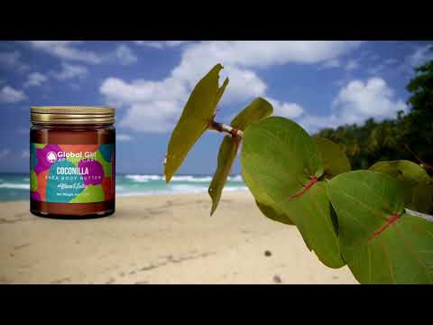 Experience Coconilla