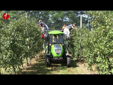 Treća godina projekta Iuvenes Fructus u Kornici