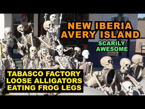 LOUISIANA: New Iberia / Avery Island - Tabasco Factory Tour, Loose Alligators, Eating Frog Legs
