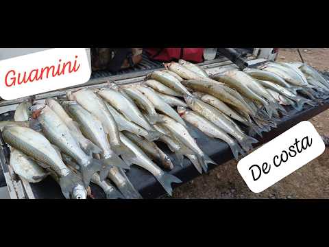 PESCA EN GUAMINI,,RECORRIMOS VARIOS PESQUEROS, EN UN DIA.