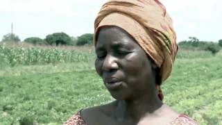 Download lagu General kanene - boma isebenza mp3 Download lagu General kanene - boma isebenza mp3