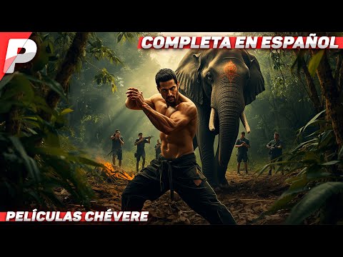 EN LA SELVA NO HAY LEY… SOLO SUPERVIVENCIA. COMBATE TOTAL. Película Completa En Español Latino