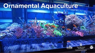Ornamental Aquaculture