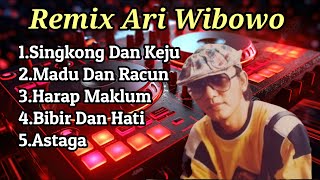 Download lagu Album Remix Ari Wibowo Bill & brod mp3