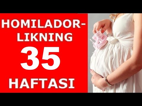 HOMILADORLIKNING 35-HAFTASI / ХОМИЛАДОРЛИКНИНГ 35-ХАФТАСИ