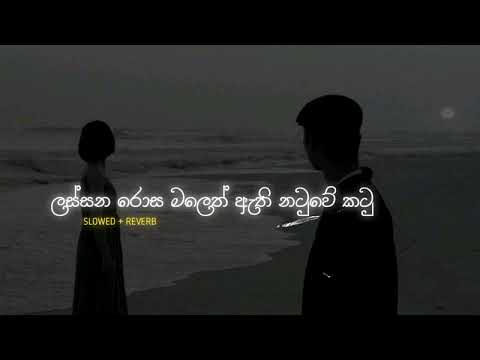 Lassana Rosa Maleth (ලස්සන රොස මලෙත් ඇති නටුවේ කටු) | Slow & Reverb