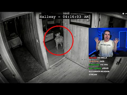 Life of Luxury is back..