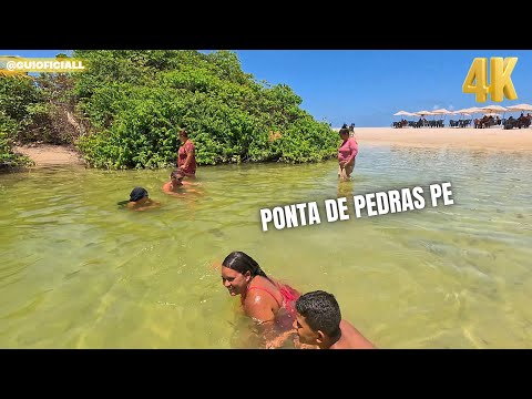 RIACHO MARIA RICARDO PONTA DE PEDRAS GOIANA PE