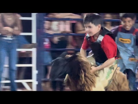 Rodeio em carneiros em Nova Tebas anima e diverte crianças
