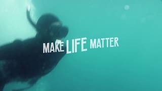 Make Life Matter - Wherever you are in life