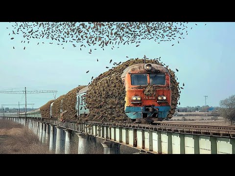 Moments Filmed Second Before Disaster | Incredible Moments #2