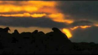 Le film: Un jour sur Terre