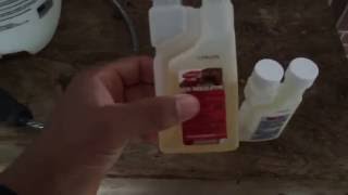How to get Rid of Fleas in your Yard - Infestation of Fleas