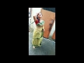 Hot Bhabhi Dance Hot N Sexy