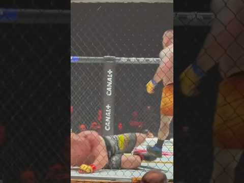 Muran zniszczony przez Popka! #freakfight #boxing #popek #murański #primemma #ko #tko #nokaut #walka