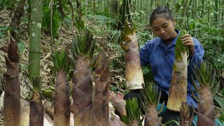 Download lagu Ly Thi Di harvests bamboo shoots, a specialty found only in Vietnam. mp3