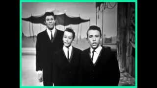 ♫ Bee Gees ♥ Take Hold Of That Star ♫