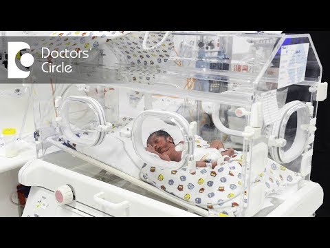 image-How much does it cost to put a baby in an incubator?