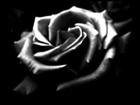 FG  Mi Linda Rosa - Dionisio Garrido