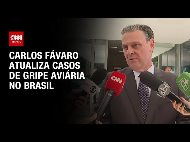 Ministro da Agricultura atualiza situação da gripe aviária no Brasil | LIVE CNN