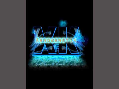 Sebastian Brandt vs Katy Perry - Ignite the Ashes (XenogenetiK's Fireworks Finale Mash-up)