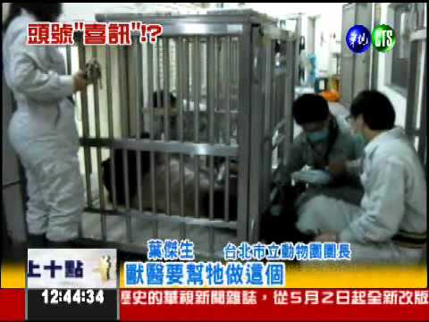 食慾變差又焦躁 "圓圓"有喜了?