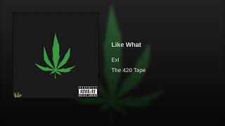 Like What Music Video