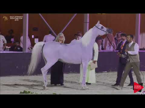 111 TALIJAH AL NAIF   Gulf SE Cup 2018