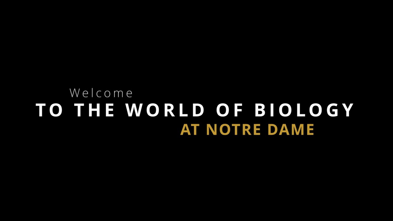 What It’s REALLY Like to Study Biology at Notre Dame | First-Year Experience Revealed