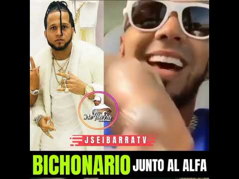 Bichonario - ANUEL x EL ALFA