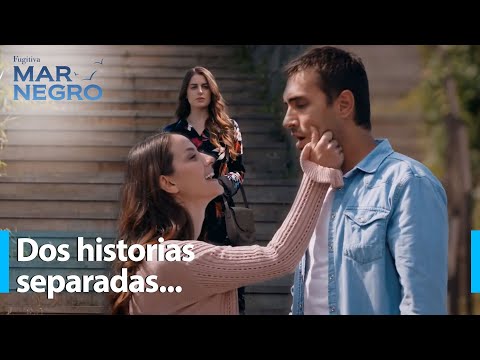 Todo el mundo puede tener una cosa en común - Mar Negro Capítulo 191 | Fugitiva