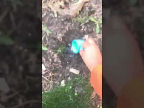 GROW A PINK FLOWER 🌸 WITH ME✌🏻