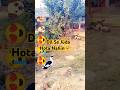 Dil Se Juda Hota Nahin Ansu Aagaye Shortsfeed Shortvideo Love Dog Poppy Funny Viralvideo