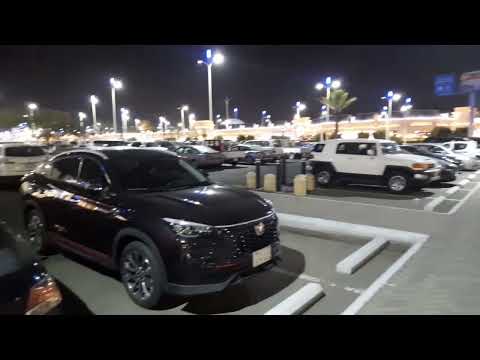 Mamanti Ka Dun- Zardy and Jhanisah.