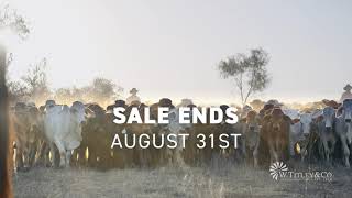 W  Titley & Co - Ariat Boot Sale